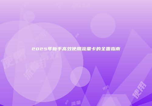2025年新手高效使用流量卡的全面指南