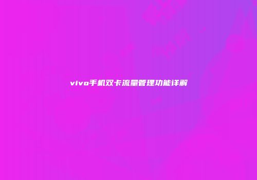 vivo手机双卡流量管理功能详解