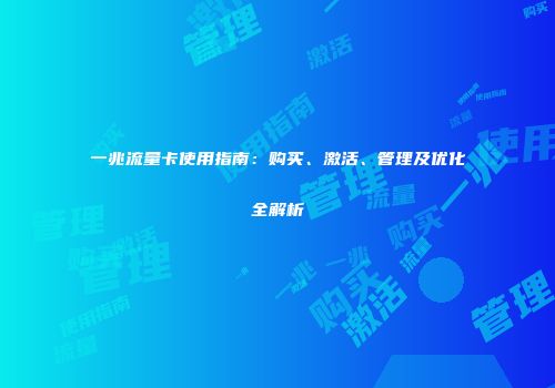 一兆流量卡使用指南：购买、激活、管理及优化全解析