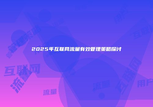 2025年互联网流量有效管理策略探讨