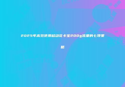 2025年高效使用移动花卡宝200g流量的七项策略