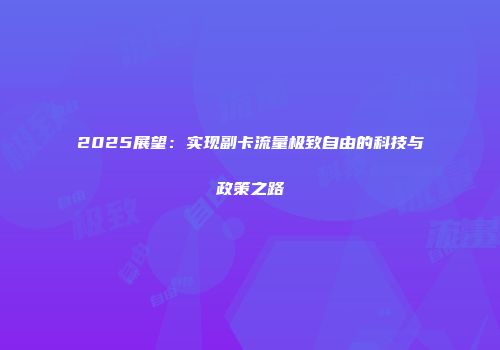 2025展望：实现副卡流量极致自由的科技与政策之路