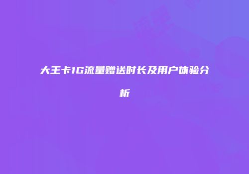 大王卡1G流量赠送时长及用户体验分析