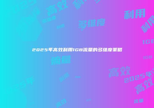 2025年高效利用1GB流量的多维度策略