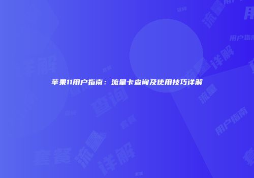 苹果11用户指南：流量卡查询及使用技巧详解