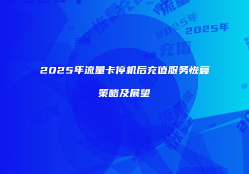 2025年流量卡停机后充值服务恢复策略及展望