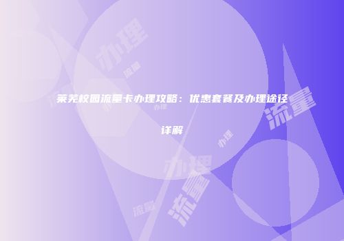 莱芜校园流量卡办理攻略：优惠套餐及办理途径详解