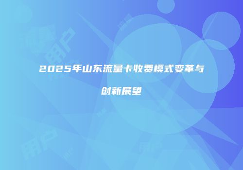 2025年山东流量卡收费模式变革与创新展望