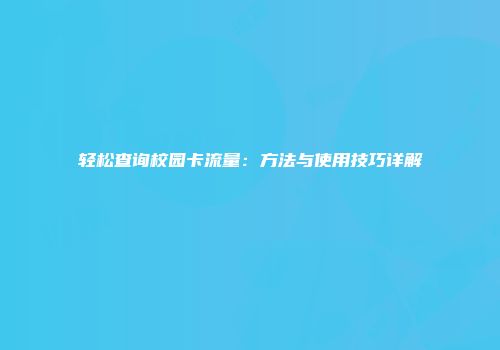 轻松查询校园卡流量：方法与使用技巧详解
