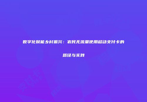 数字化赋能乡村振兴：农民无流量使用移动支付卡的路径与实践