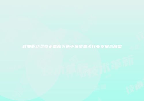 政策驱动与技术革新下的中国流量卡行业发展与展望