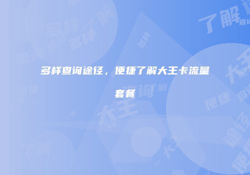多样查询途径，便捷了解大王卡流量套餐