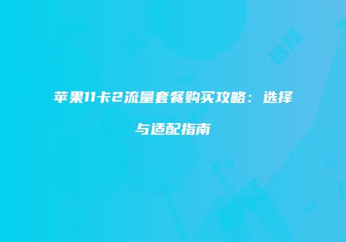 苹果11卡2流量套餐购买攻略：选择与适配指南