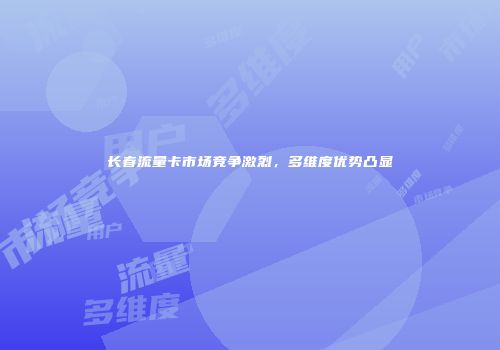 长春流量卡市场竞争激烈，多维度优势凸显