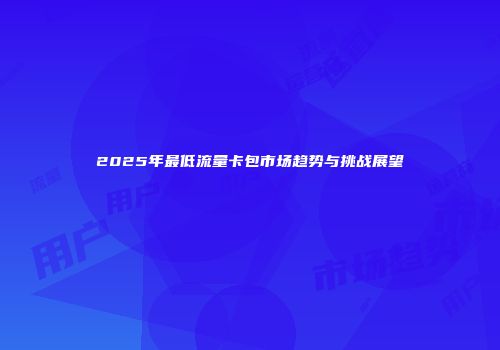 2025年最低流量卡包市场趋势与挑战展望