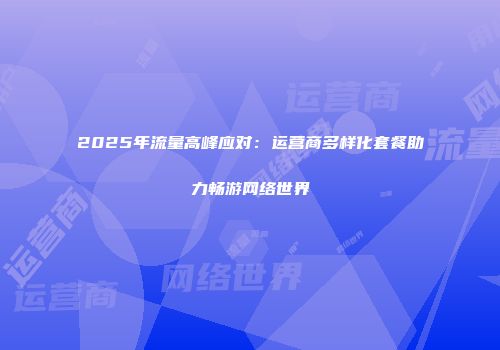 2025年流量高峰应对：运营商多样化套餐助力畅游网络世界