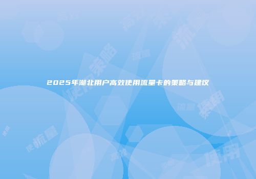 2025年湖北用户高效使用流量卡的策略与建议