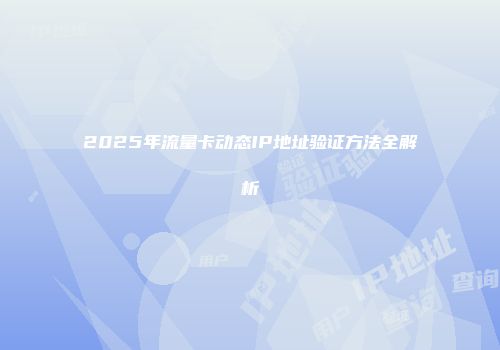 2025年流量卡动态IP地址验证方法全解析