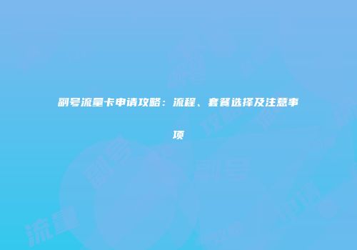 副号流量卡申请攻略：流程、套餐选择及注意事项