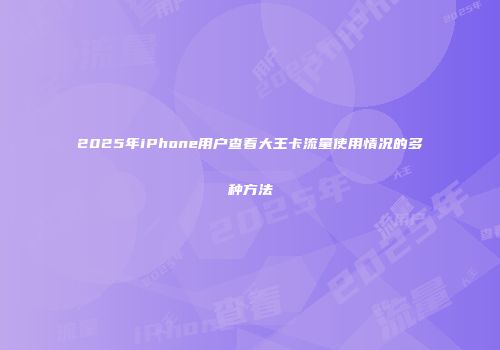 2025年iPhone用户查看大王卡流量使用情况的多种方法