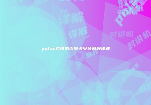 pulas对讲机流量卡安装教程详解