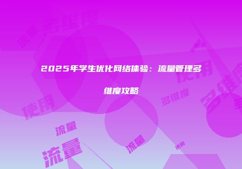 2025年学生优化网络体验：流量管理多维度攻略