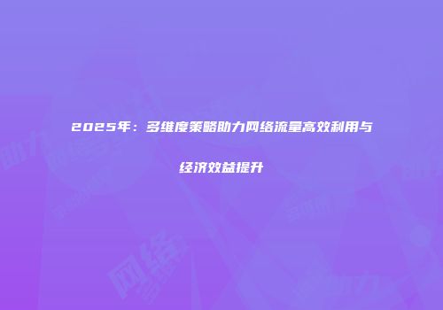 2025年：多维度策略助力网络流量高效利用与经济效益提升