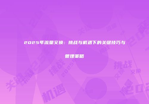 2025年流量交换：挑战与机遇下的关键技巧与管理策略