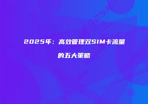 2025年：高效管理双SIM卡流量的五大策略