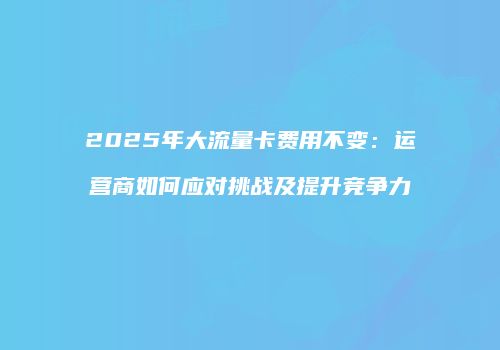 2025年大流量卡费用不变：运营商如何应对挑战及提升竞争力