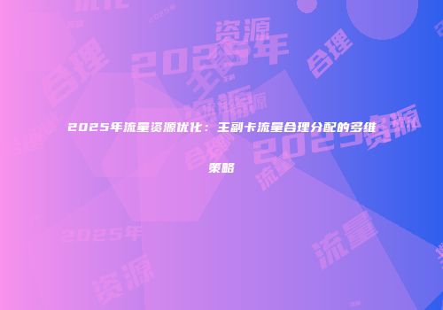 2025年流量资源优化：主副卡流量合理分配的多维策略