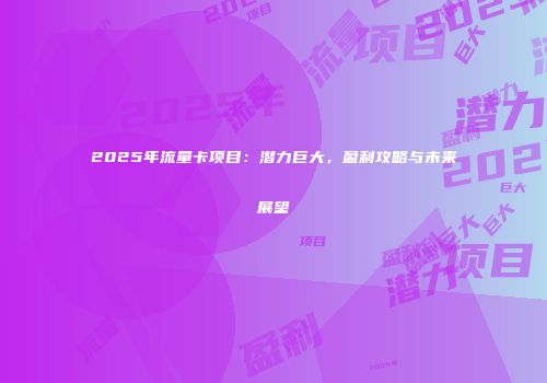 2025年流量卡项目：潜力巨大，盈利攻略与未来展望