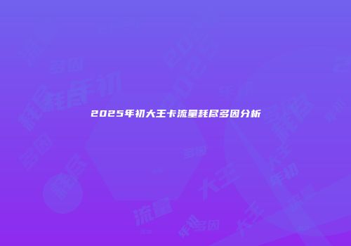 2025年初大王卡流量耗尽多因分析