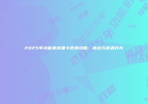 2025年功能机流量卡使用攻略：挑战与机遇并存