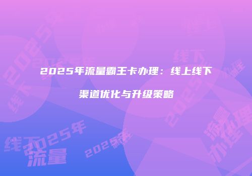 2025年流量霸王卡办理：线上线下渠道优化与升级策略