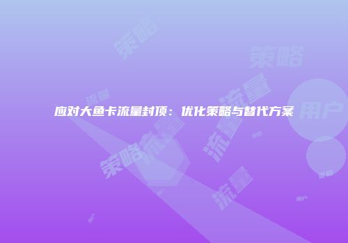 应对大鱼卡流量封顶：优化策略与替代方案