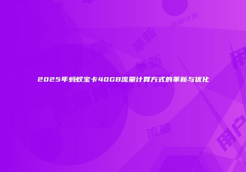 2025年蚂蚁宝卡40GB流量计算方式的革新与优化