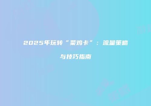 2025年玩转“菜鸡卡”：流量策略与技巧指南