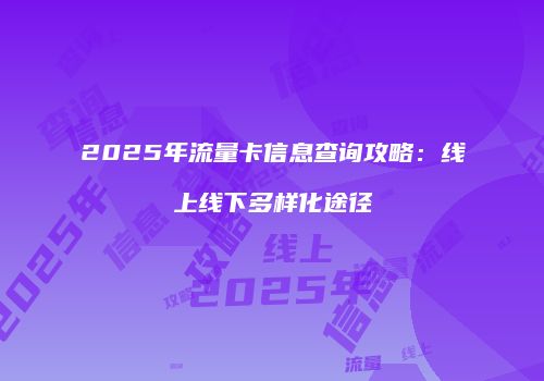 2025年流量卡信息查询攻略：线上线下多样化途径