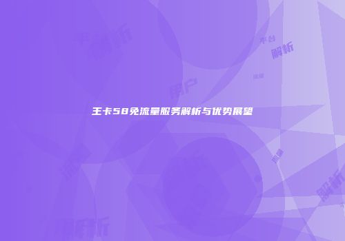 王卡58免流量服务解析与优势展望