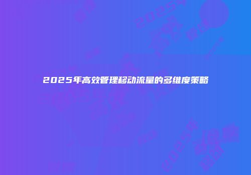 2025年高效管理移动流量的多维度策略