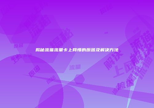 揭秘流猫流量卡上网慢的原因及解决方法