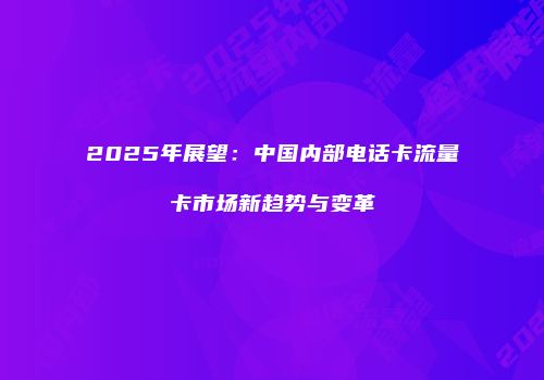 2025年展望：中国内部电话卡流量卡市场新趋势与变革