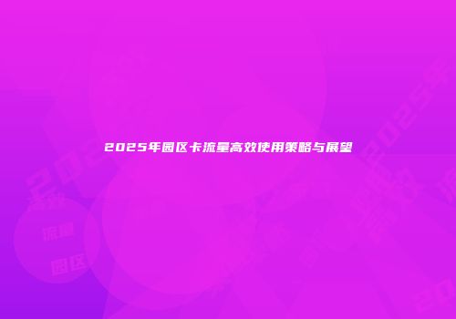 2025年园区卡流量高效使用策略与展望