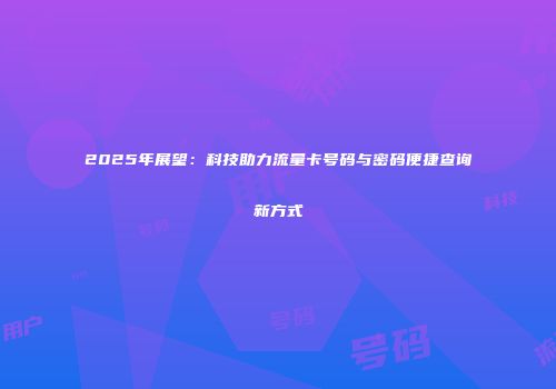 2025年展望：科技助力流量卡号码与密码便捷查询新方式
