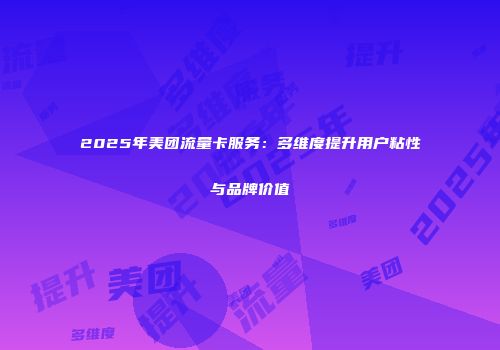 2025年美团流量卡服务：多维度提升用户粘性与品牌价值