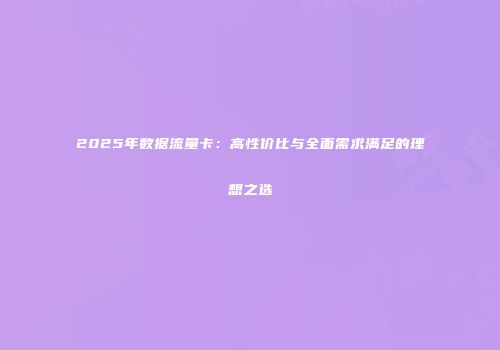 2025年数据流量卡：高性价比与全面需求满足的理想之选