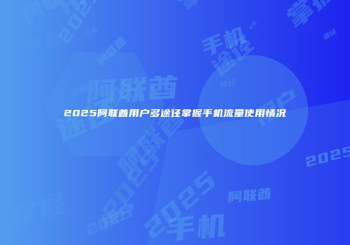 2025阿联酋用户多途径掌握手机流量使用情况
