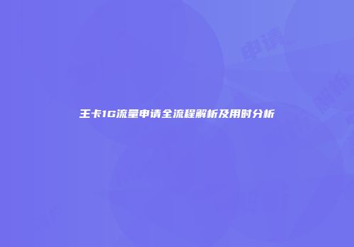 王卡1G流量申请全流程解析及用时分析