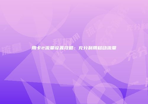 用卡2流量设置攻略：充分利用移动流量